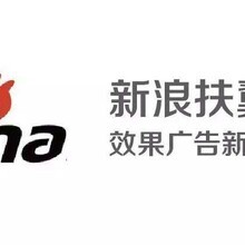 濟(jì)南大舟網(wǎng)絡(luò)科技 新浪微博粉絲通營(yíng)銷策略解析